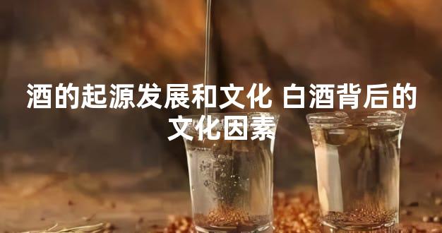 酒的起源发展和文化 白酒背后的文化因素